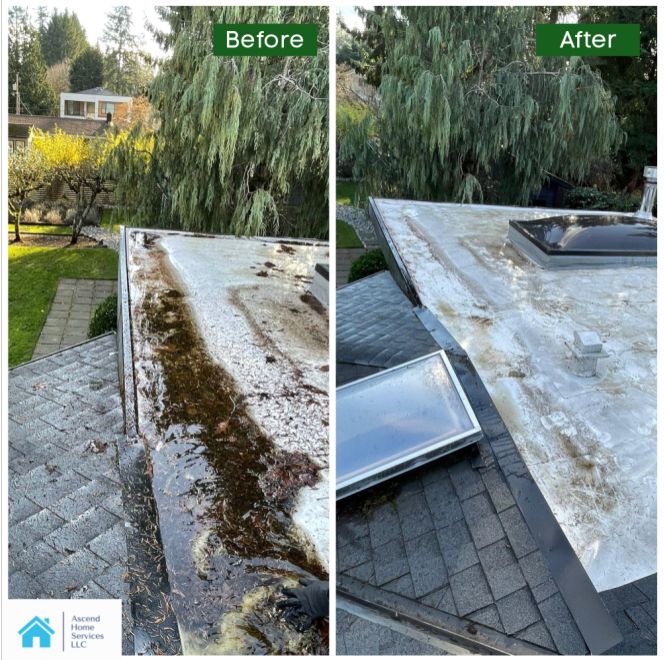 Roof Cleaning