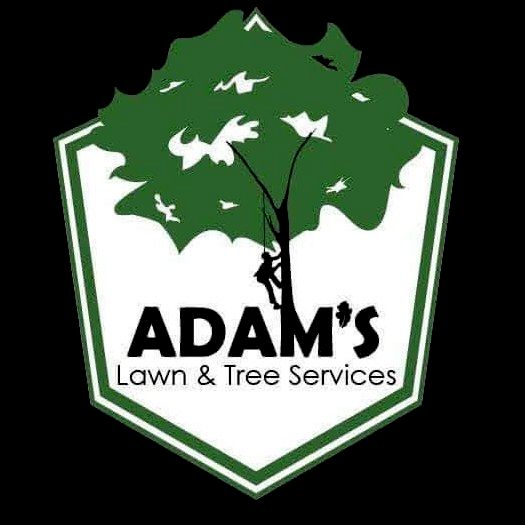 Adams Tree & Landscape