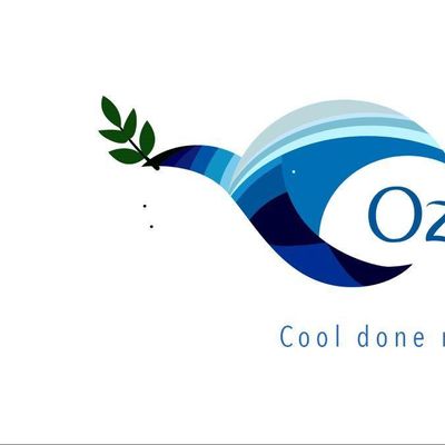 Avatar for Ozone Air Design