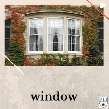 Window