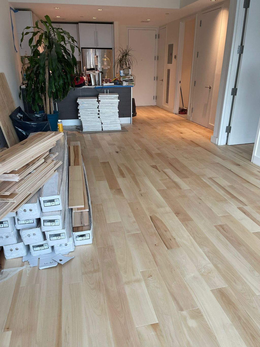 Projects and media