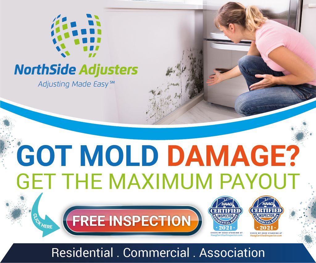 Mold Damage?