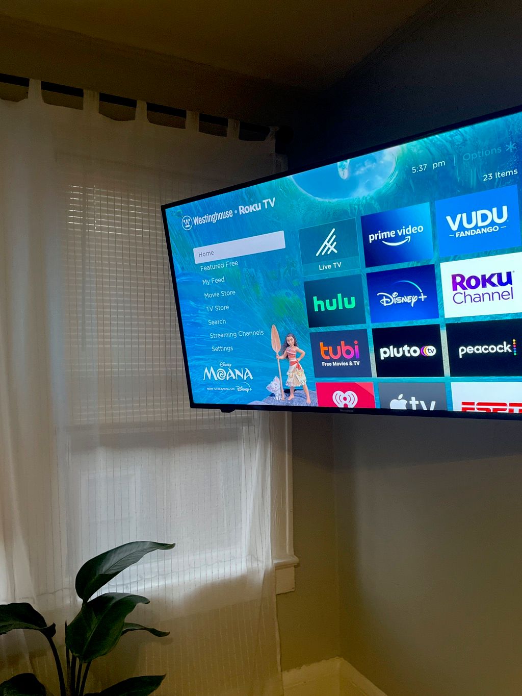Projects and media