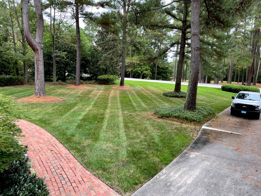 Lawn striping