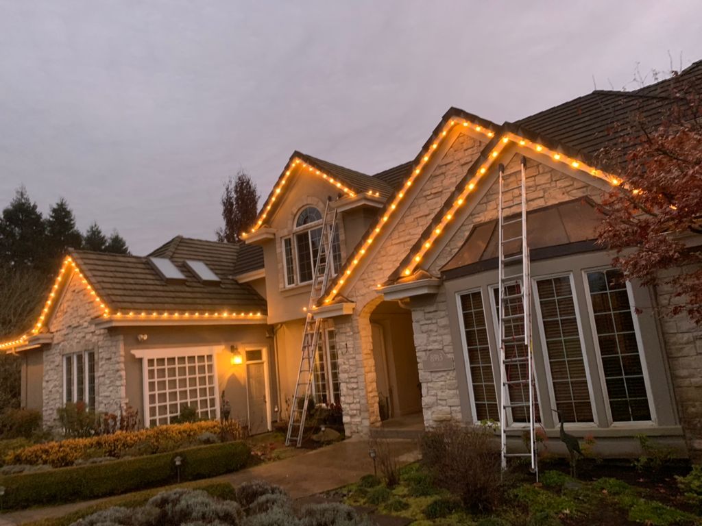Christmas Lights