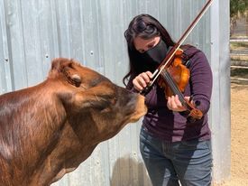 Karen D.:  Violin Student