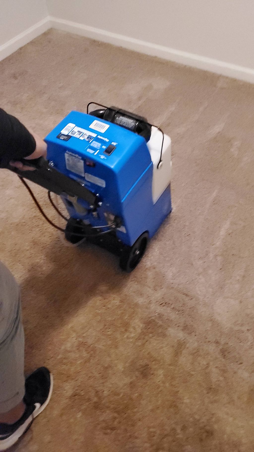 Professional Cleaning 