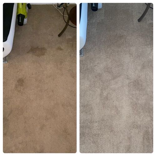 I never had my carpets look that clean.
They look 