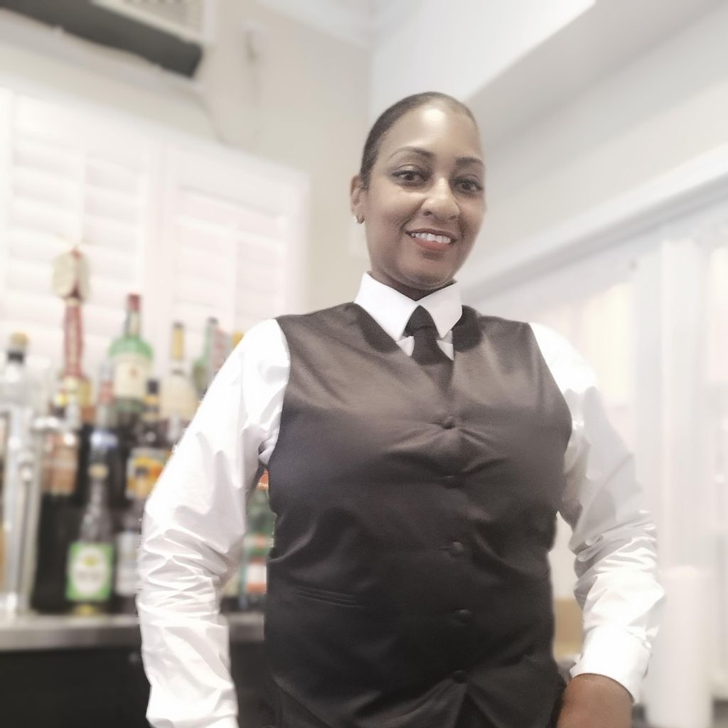 Vibez Mobile Bartending Service