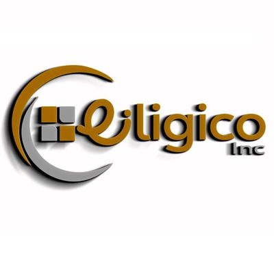 Avatar for EliGico Inc