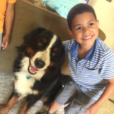 Avatar for Austin Dog Manners