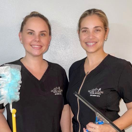 Vix Professional Cleaning
