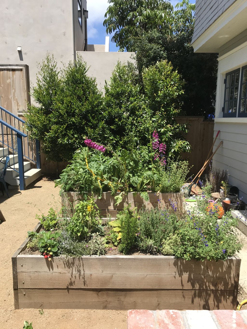 Balboa Park Garden Maintenance