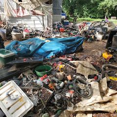 Yard Cleanup
