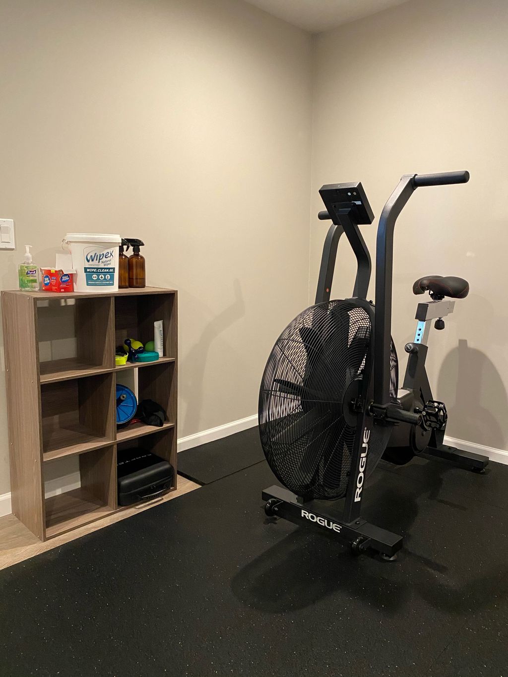 Sanitization station and Rogue Echo Bike