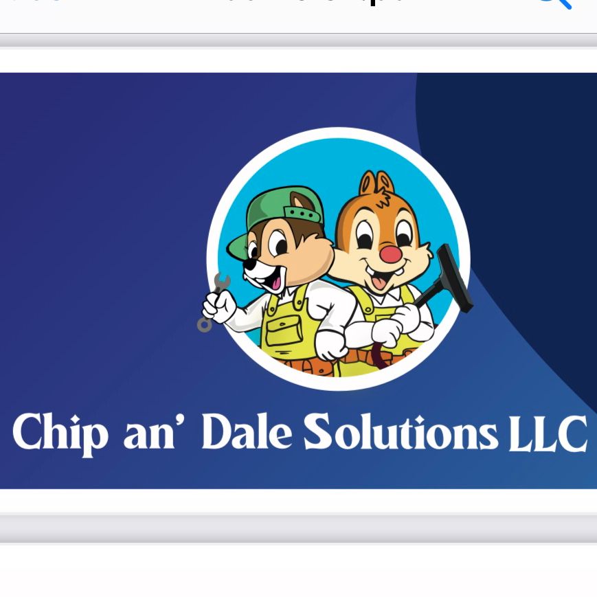 Chip an’ Dale Solutions LLC