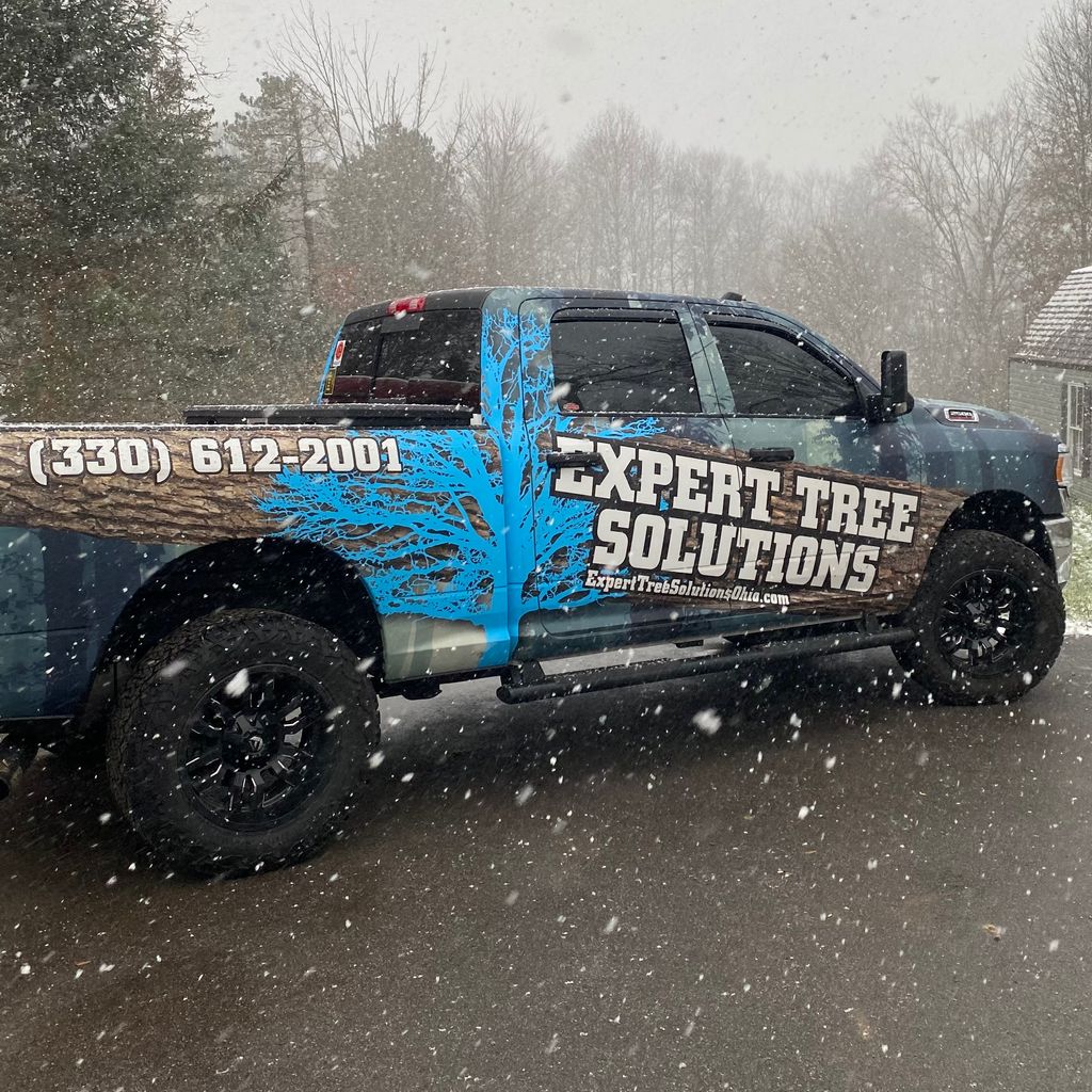 Expert Tree Solutions