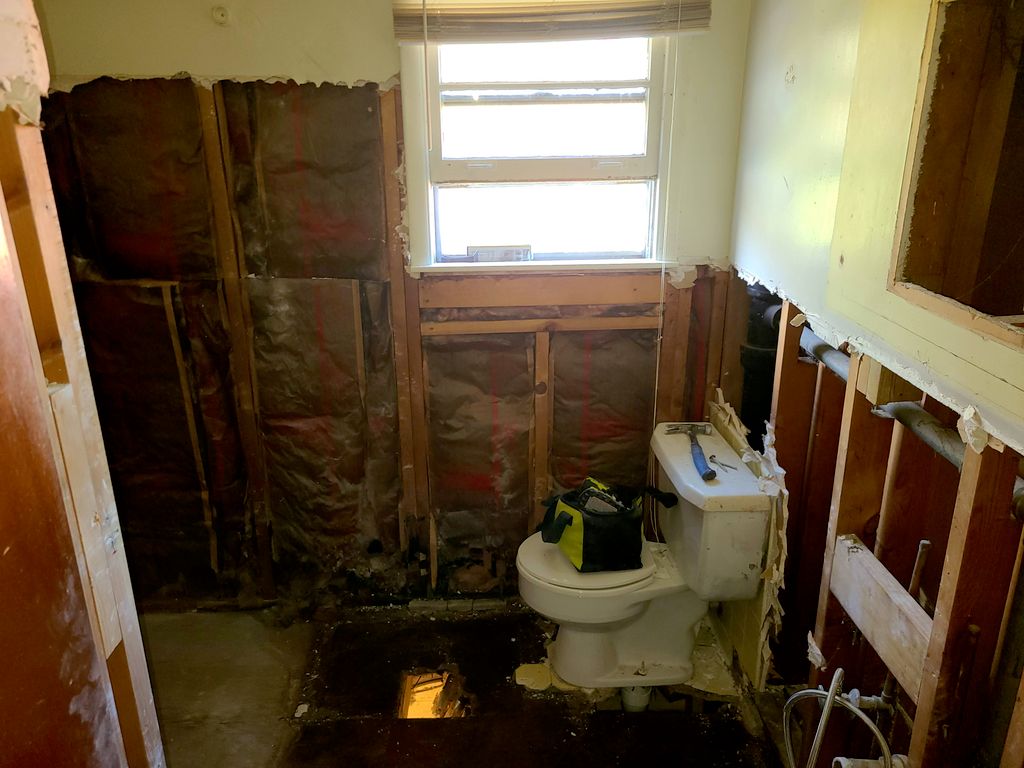 During the Remodel 