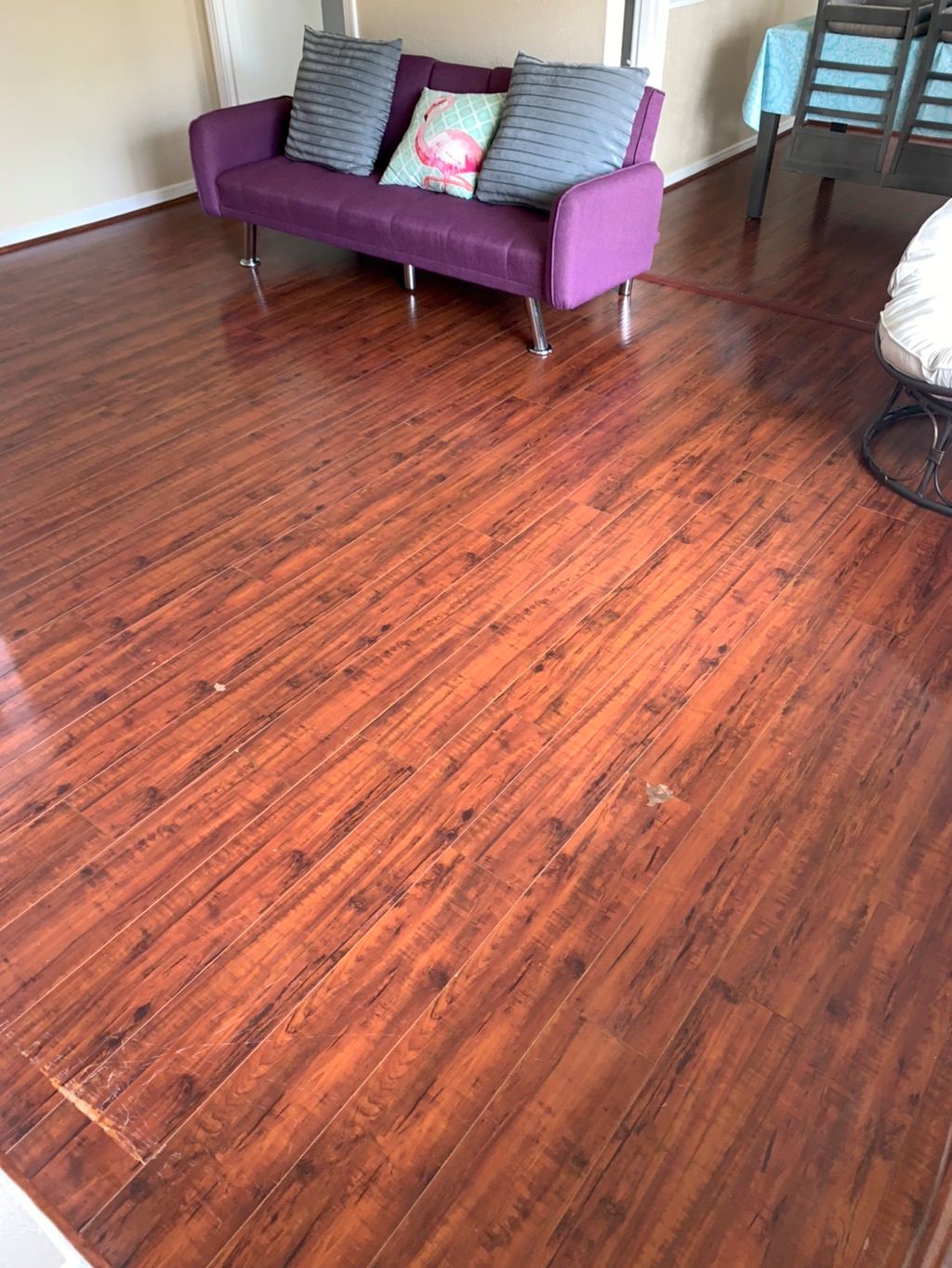 Customer photos
