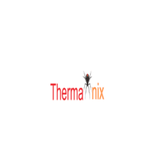 Avatar for Thermanix
