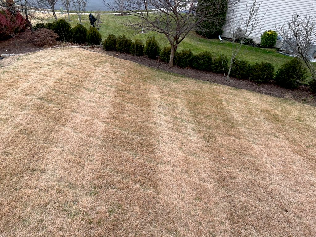 freedom lawn did a great job, they came out the ne