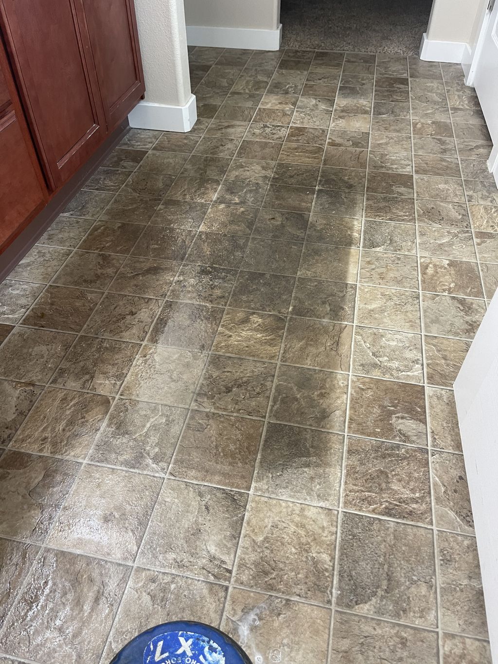 Tile and Grout Cleaning