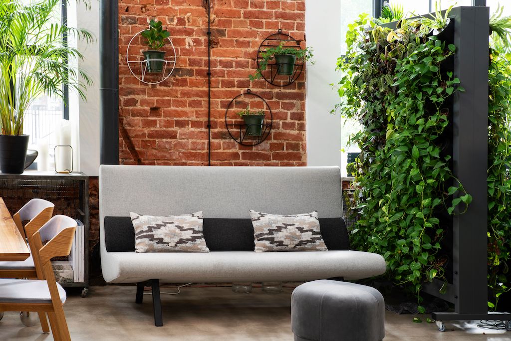 home trend: biophilic and plants
