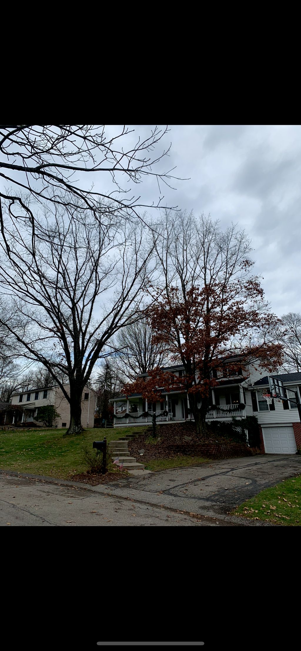 Tree Trimming and Removal