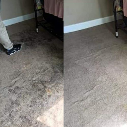Old, stained carpet can be brought back to life!