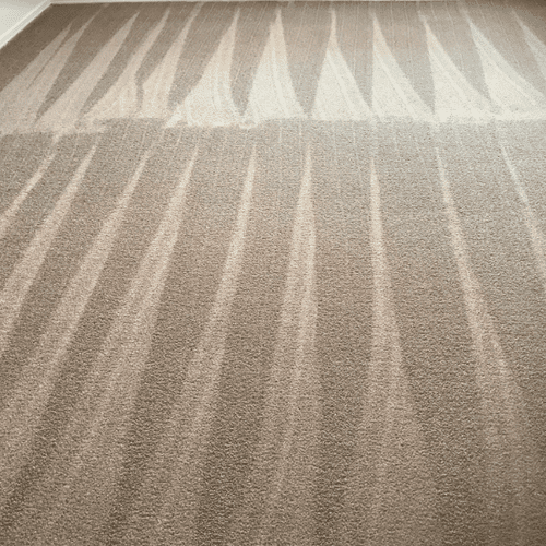 Vacuumed Carpet