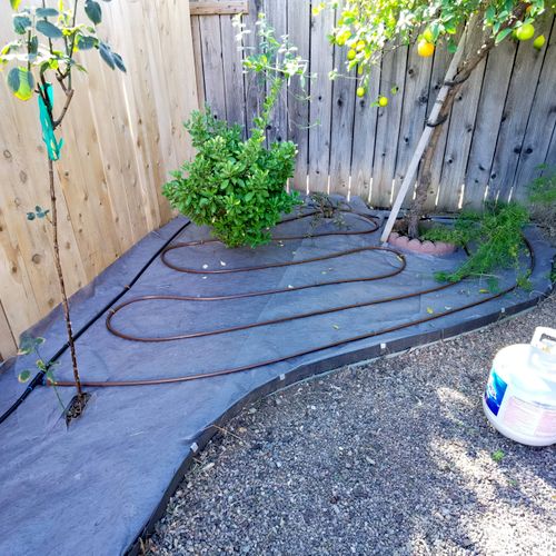 Drip irrigation for trees/shrubs and flowers