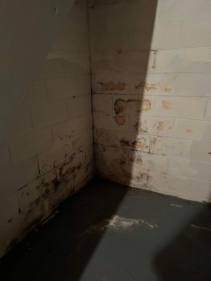 Basement Mold Before Pic