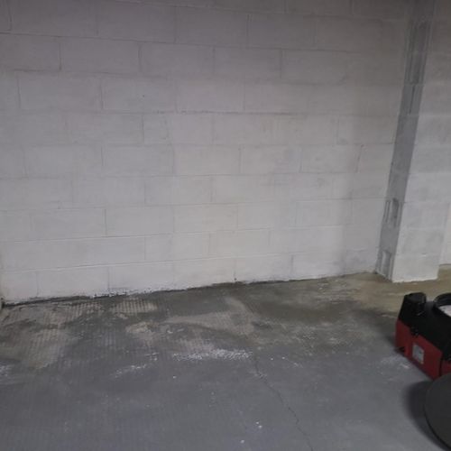 Basement Mold Pic after 