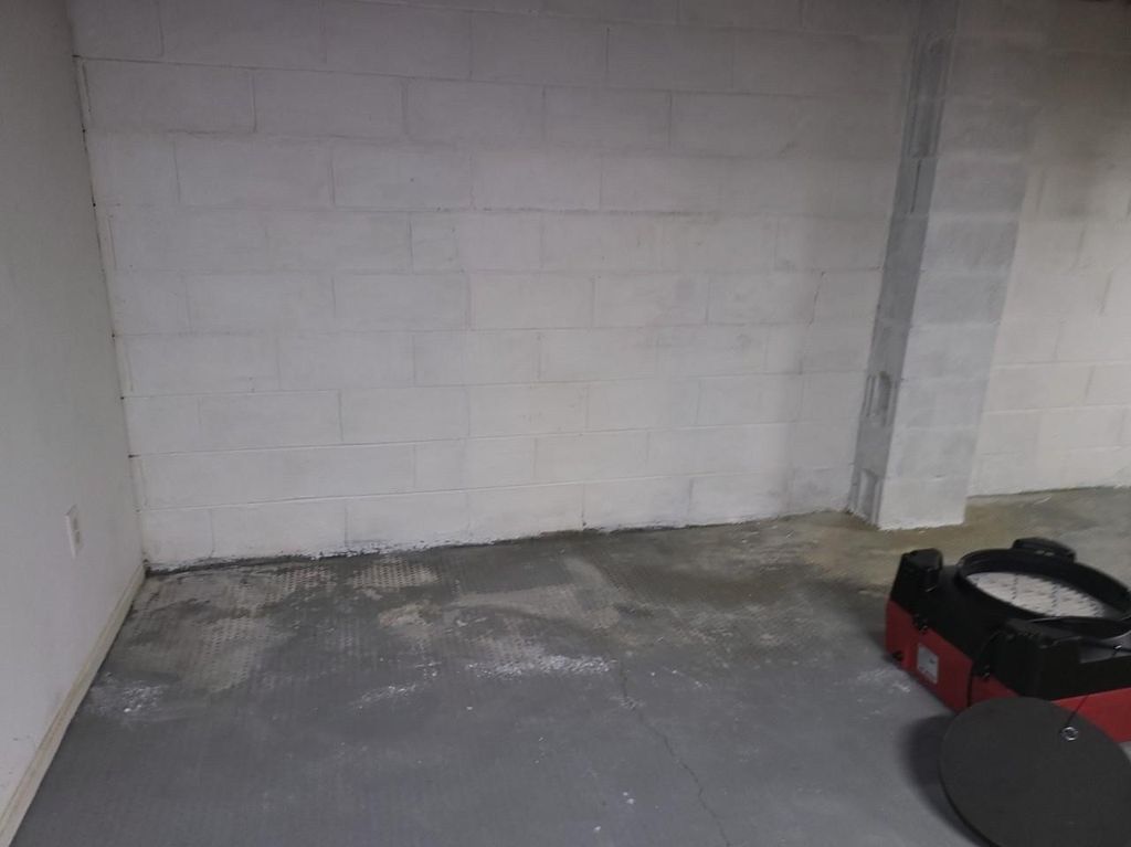 Basement Mold Pic after 