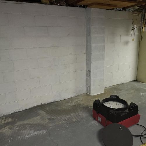 Basement Mold Pic After 