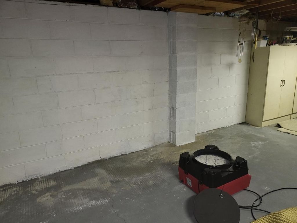 Basement Mold Pic After 
