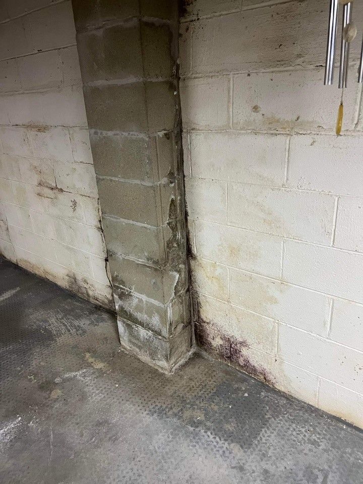 Basement Mold Before Pic