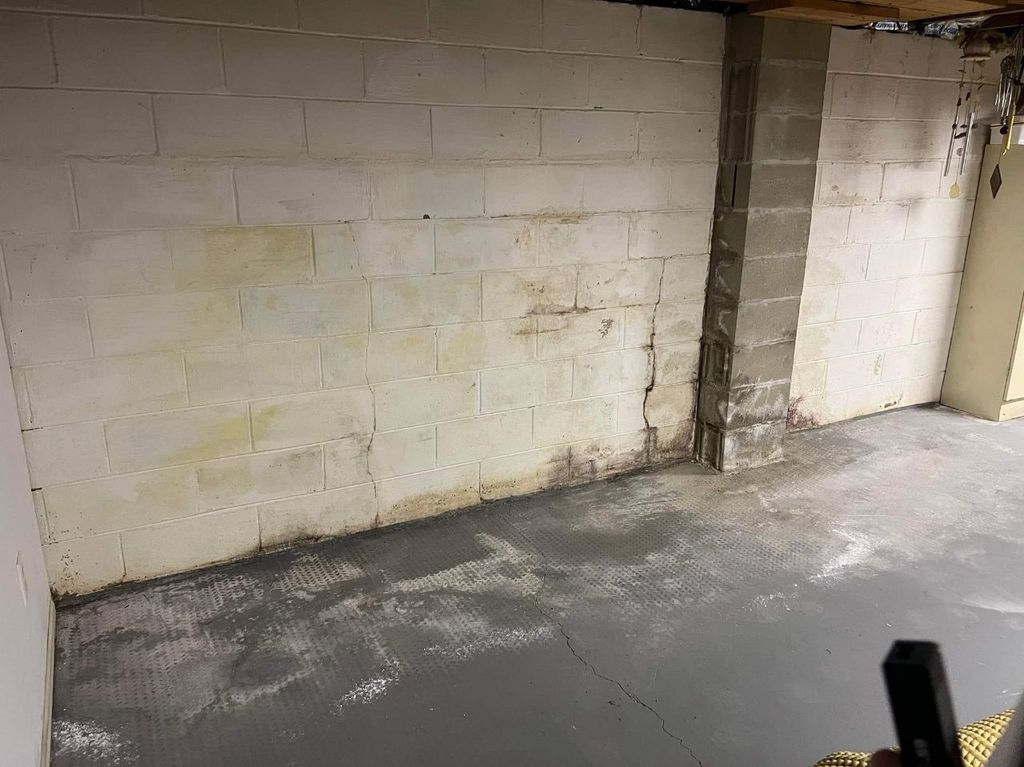 Basement Mold Before Pic