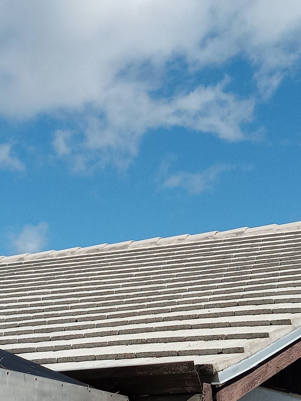 Roof Wash