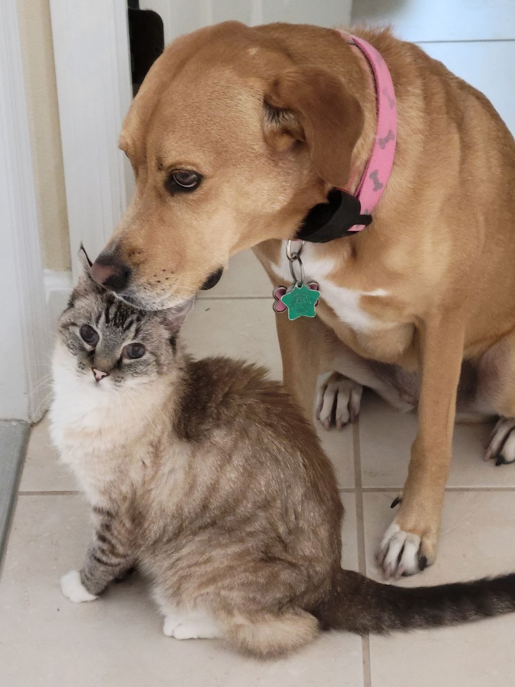 Our Kids, Sydney & Smokey
