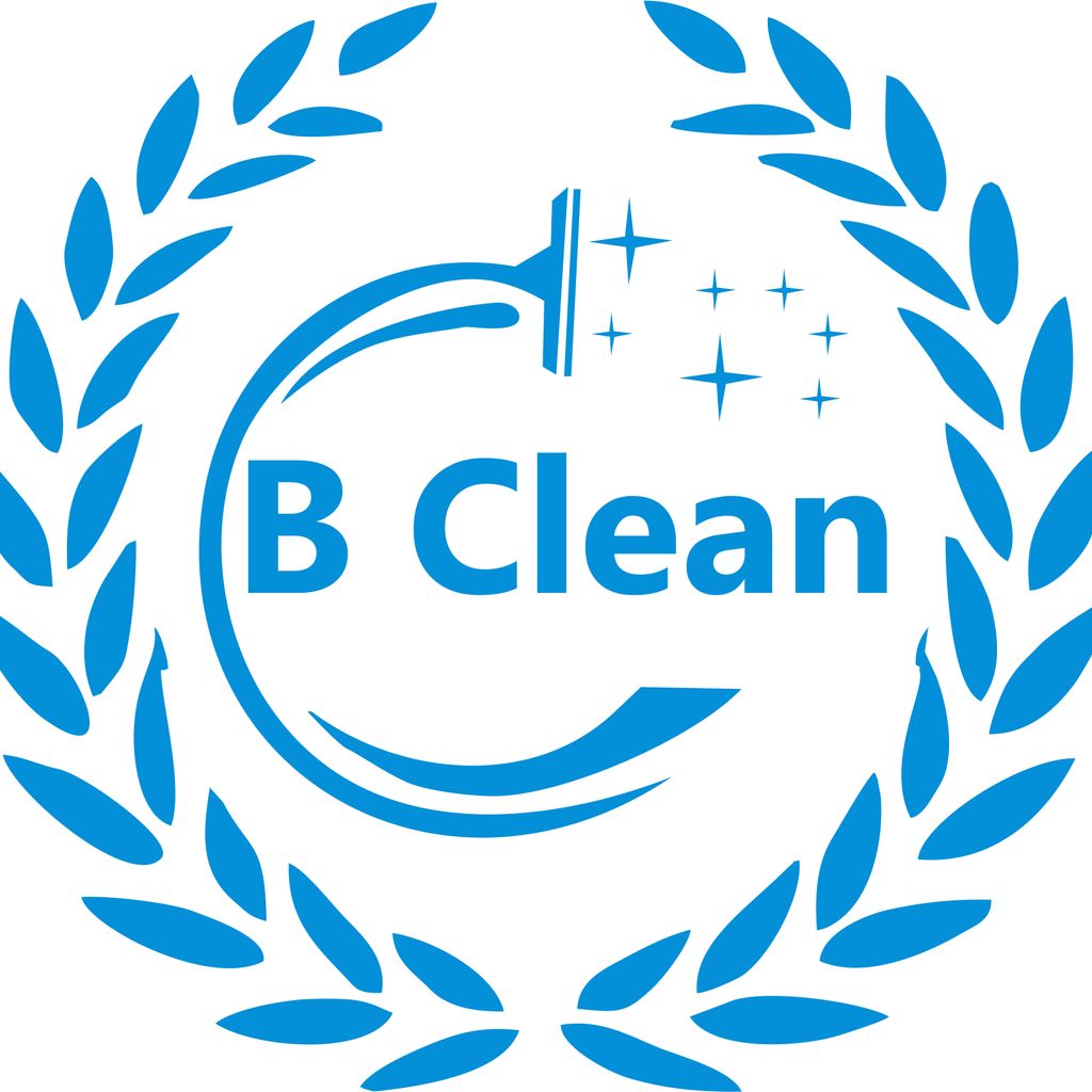 B Clean Professionals