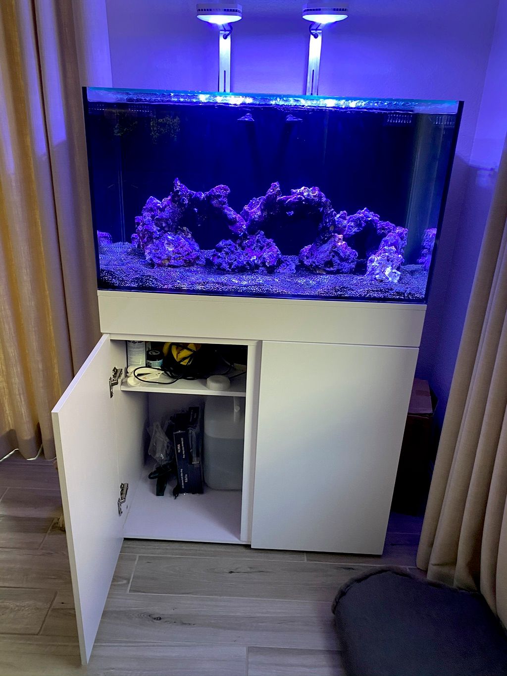 Setting up an 80 gallon reef tank 