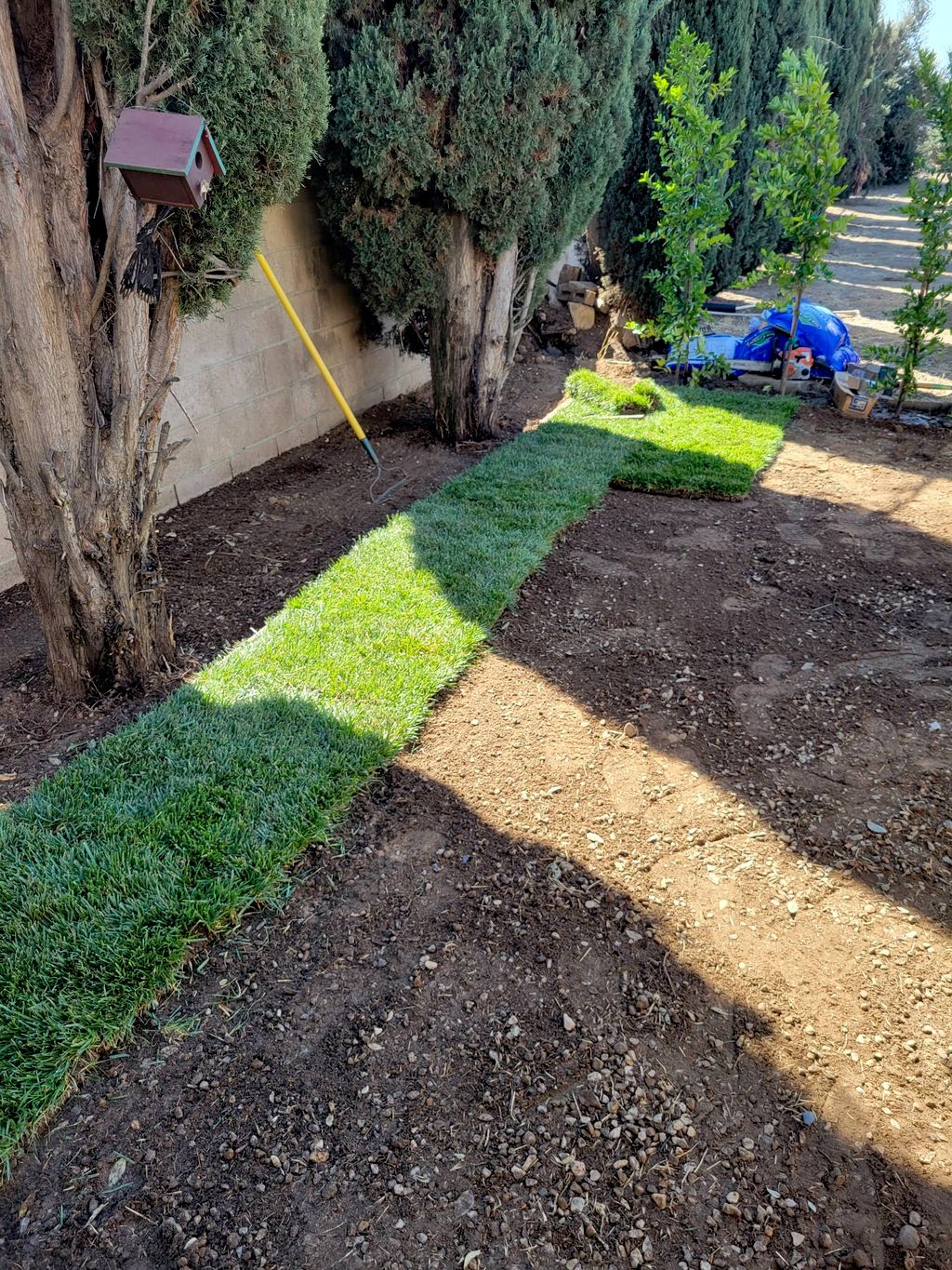 Projects and media