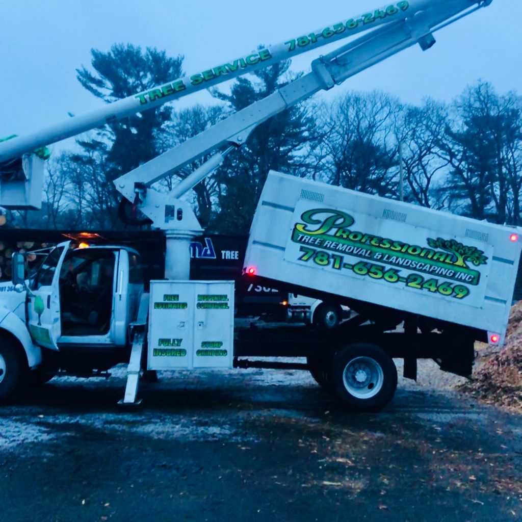 Professional Tree Removal & Landscaping Inc.