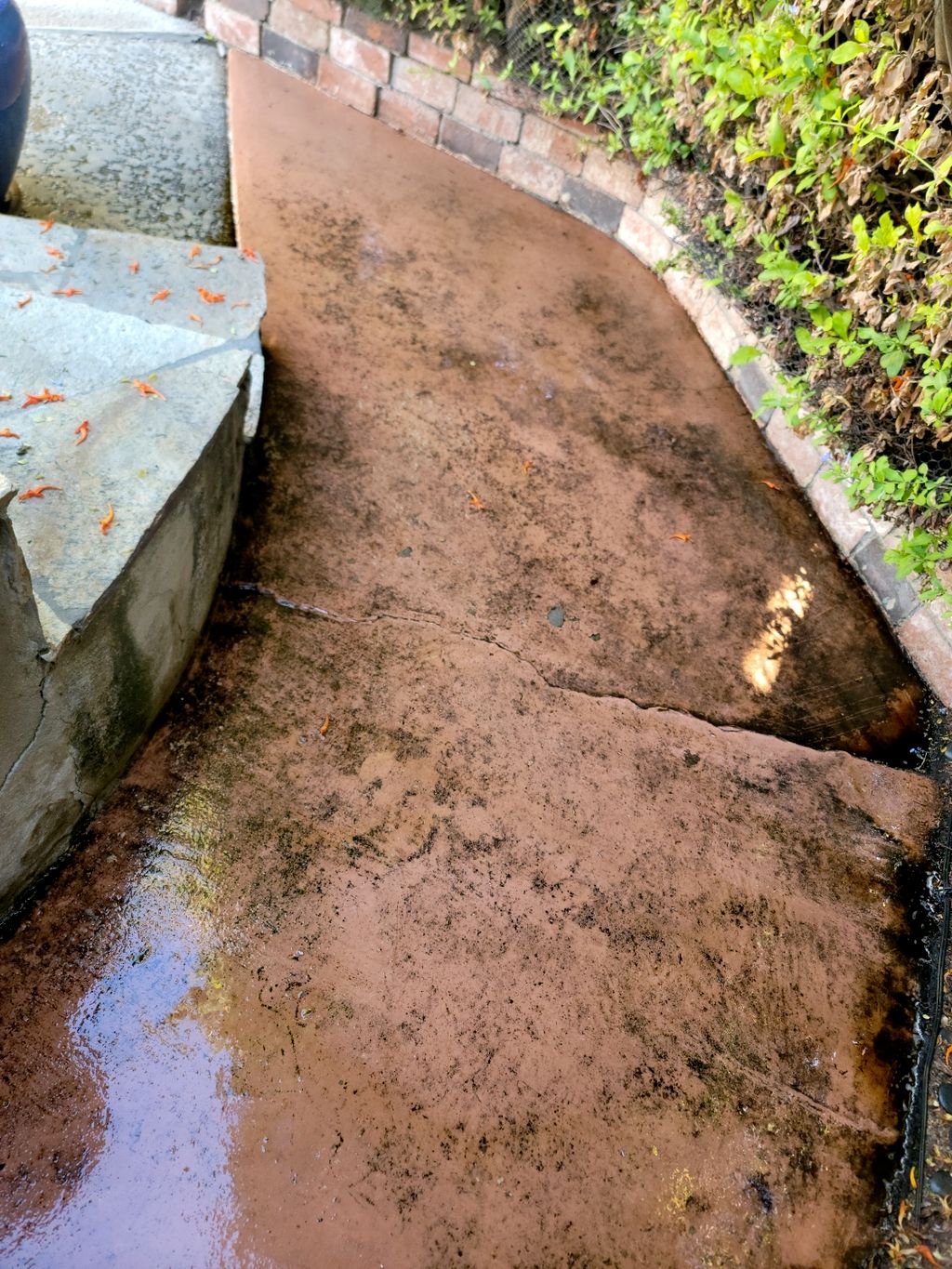 backyard concrete steam cleaning before