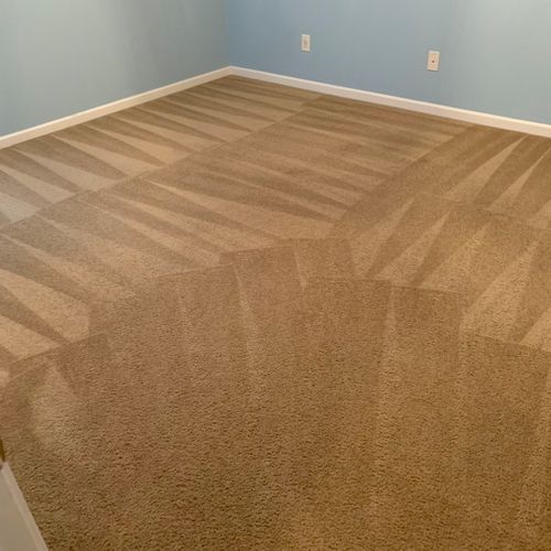 Leon and his son really knocked this carpet cleani