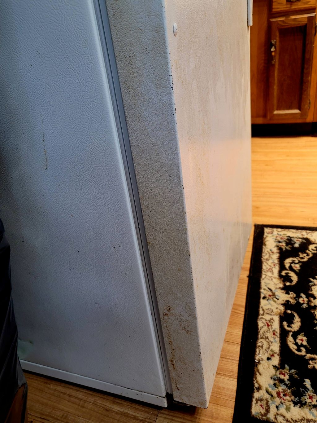 REFRIGERATOR BEFORE