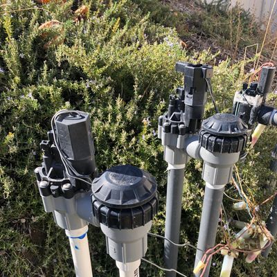 Avatar for TTG Landscaping & Irrigation