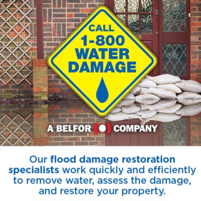 Avatar for 1-800 WATER DAMAGE of Northern Virginia