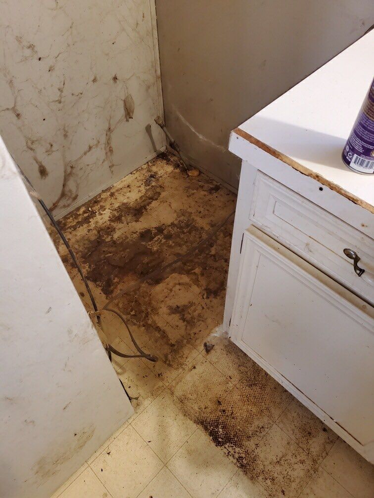 Under Fridge 2022 BEFORE